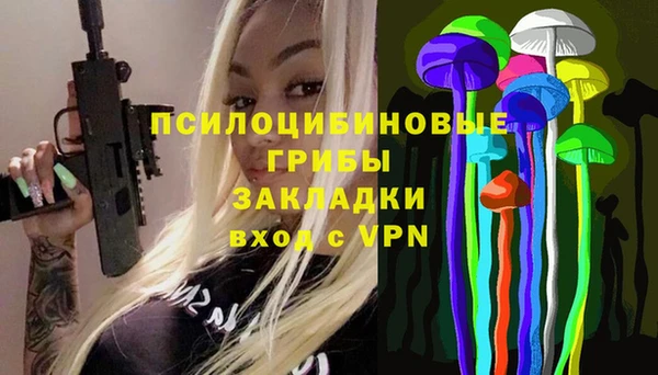 бошки Армянск