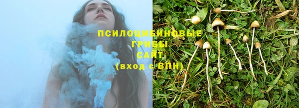 бошки Алексеевка
