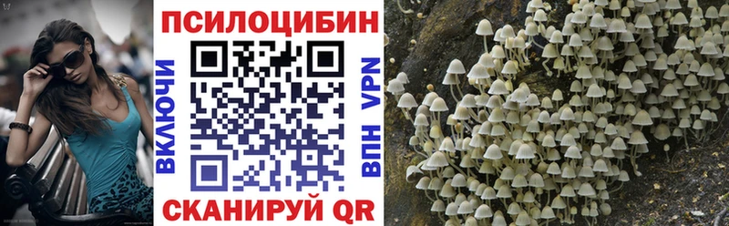 Галлюциногенные грибы прущие грибы  МЕГА tor  Волжский  где продают  